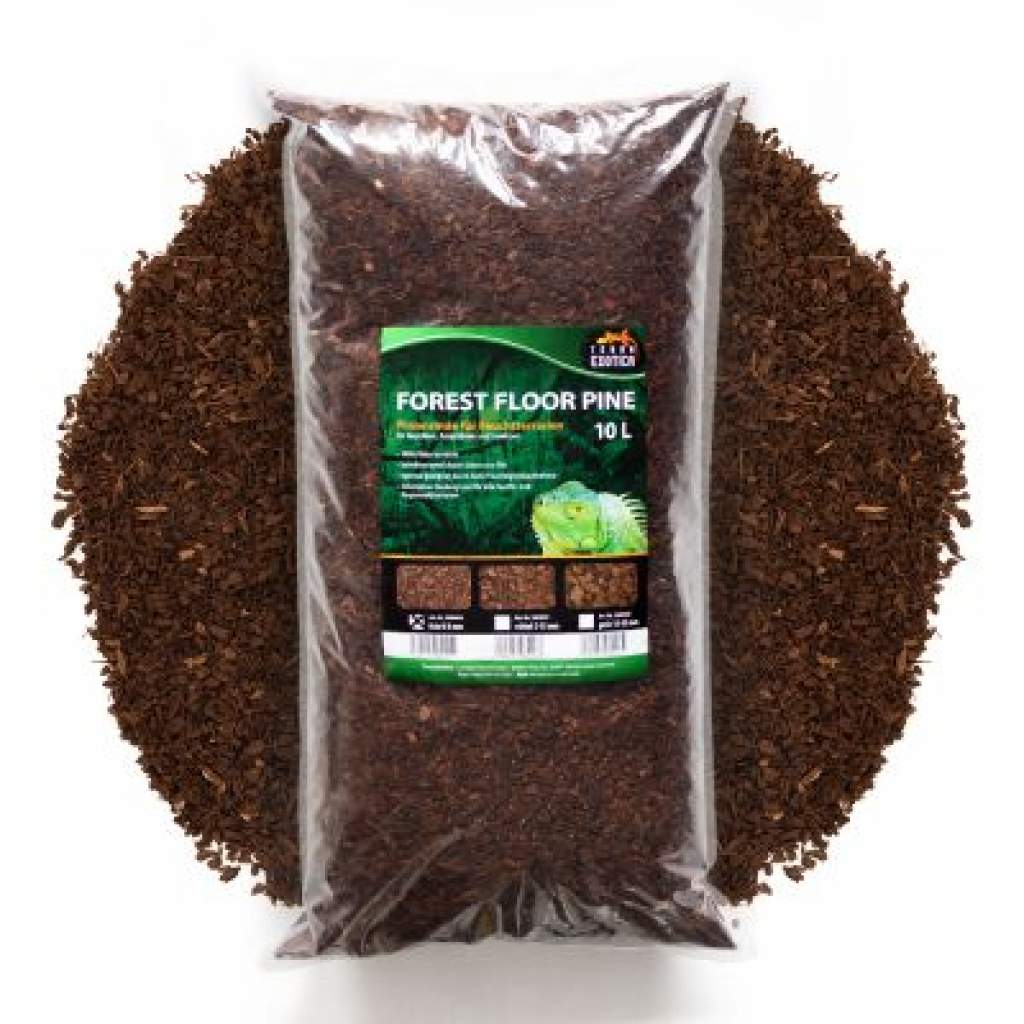 FOREST FLOOR PINE Pinienrinde für Feuchtterrarien 100 % Naturprodukt